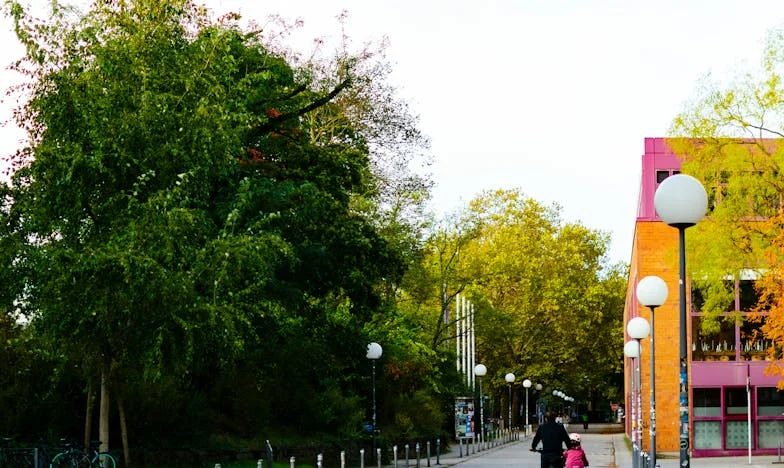 Opowieść o jednej miłości: Zima Weroniki