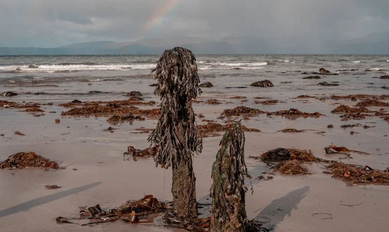 Pod jednym dachem: Tajemnica, która rozdarła rodzinę i ocaliła serce