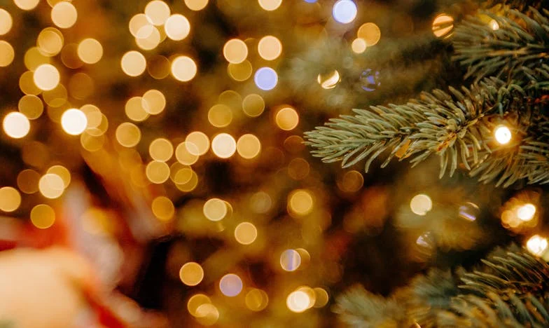 Przekazałam dom wnukowi, a moja córka zerwała ze mną kontakt. Czy można naprawić rozbite serce matki?