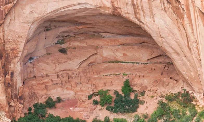 Rodzona siostra? Dzięki, wystarczy…