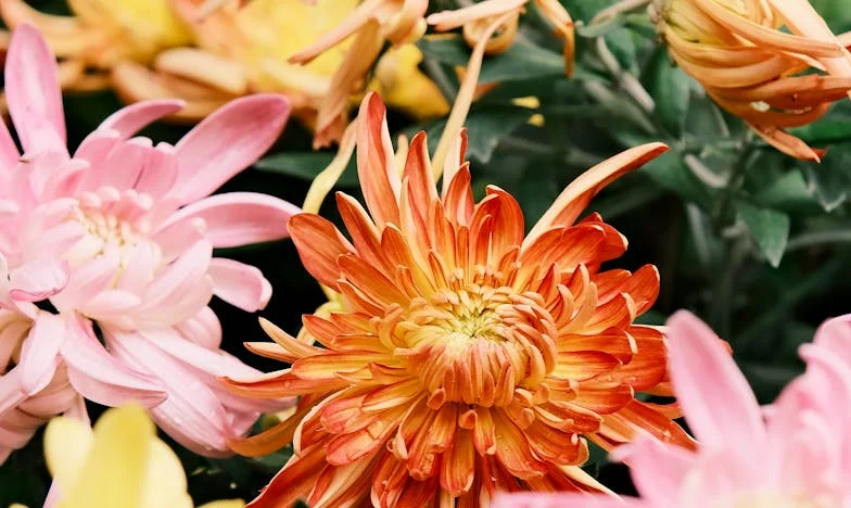 Stare lustro i nowe życie – historia pojednania w cieniu rodzinnych tajemnic