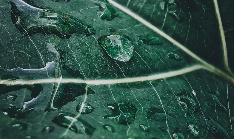 Wstyd, którego nie da się zmyć: Historia matki, którą syn wyparł się dla kariery