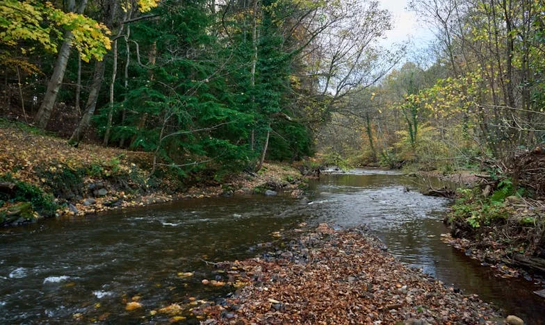 Zawsze za młoda na rezygnację: Historia Marii z podwarszawskiego Milanówka
