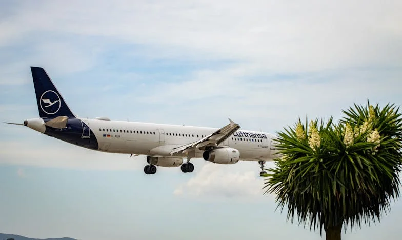 Żniwa smutku: Jak zostałam obca we własnym domu