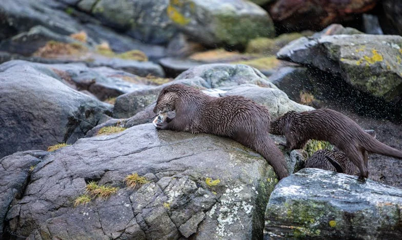 „Ania, możesz pomóc z dziadkiem?” – Jak jeden telefon zmienił wszystko. Moja historia o rodzinnych ranach i sile codzienności