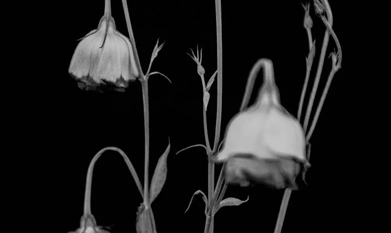 Dlaczego mama wybrała ojczyma, a nie mnie: po latach poznałam gorzką prawdę