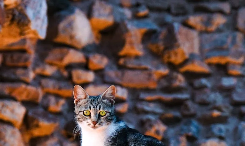 Dobry znak – opowieść Lidki o rozczarowaniu, sile i nadziei
