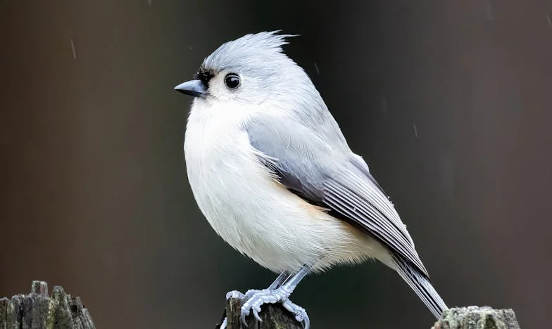 Dzień, w którym wszystko się zawaliło: Moja walka o prawdę i rodzinę