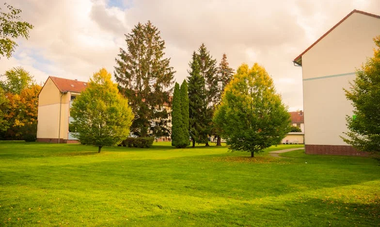 Jesień życia w cieniu zdrady: Moje życie po rozpadzie rodziny