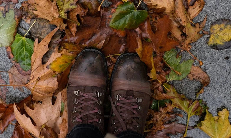 Kiedy brat i bratowa przejmują dom: Moja walka o własne miejsce w rodzinie