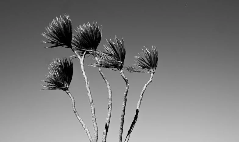 Kiedy cisza krzyczy: Opowieść matki walczącej o syna i rodzinę