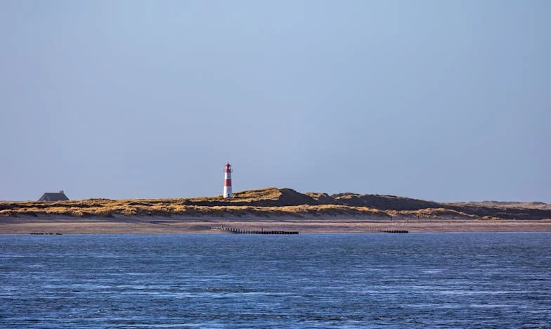 Kiedy łzy stają się siłą: Moja walka o szacunek w małżeństwie z Markiem
