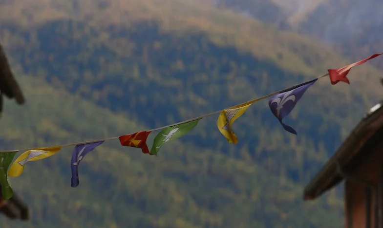 Kiedy rodzina pęka: historia polskiej teściowej