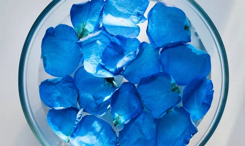 Kiedy rodzina zięcia staje się wrogiem: Moja walka o córkę i rodzinny spokój