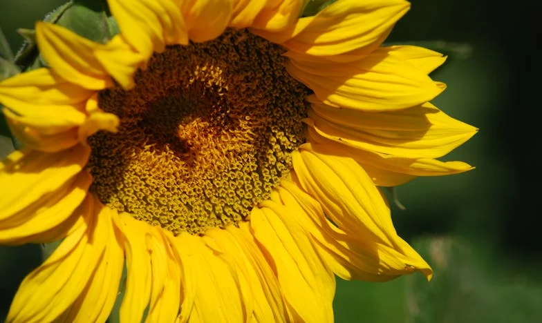 Kiedy Zaufanie Pęka: Moja Walka o Prawdę i Siebie w Małżeństwie