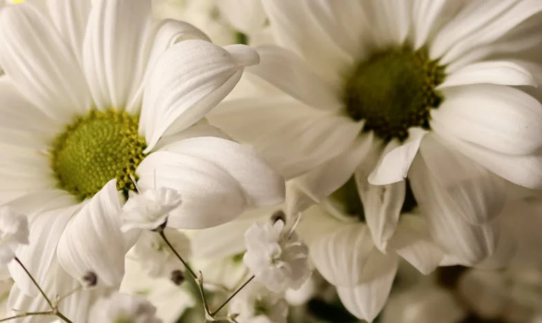 „Krzysztofie, wyjechałam do Gdańska. Dzieci są u mamy. Proszę, wybacz i spróbuj zrozumieć.” – Wyznanie wyczerpanej matki z Mazowsza