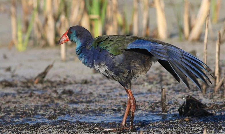 List, który roztrzaskał moje życie: Kiedy własna mama żąda alimentów od córki