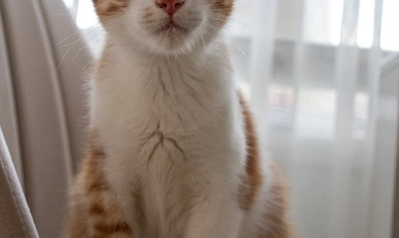 Marzyłem, by pewnego dnia przyjść i wyznać miłość… Ale życie napisało inny scenariusz