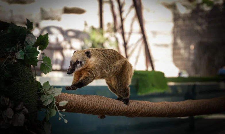 Między dwoma światami: Czy powinnam jeszcze widywać teściów po odkryciu prawdy? Moja historia, która podzieliła rodzinę