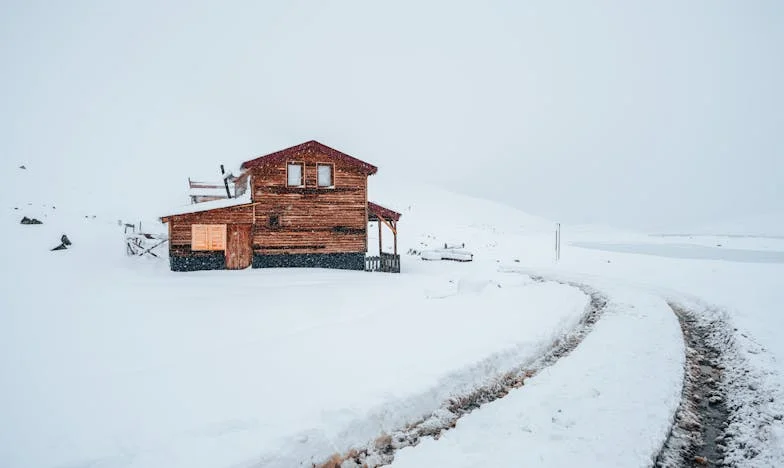 Między krwią a sercem: Moja walka o własne życie i miłość
