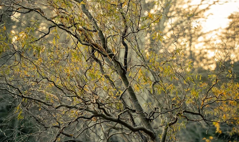 Między mną a jego przeszłością – Dziecko, którego nie potrafił pokochać. Moja walka o rodzinę w cieniu teściowej i rodzinnych tajemnic
