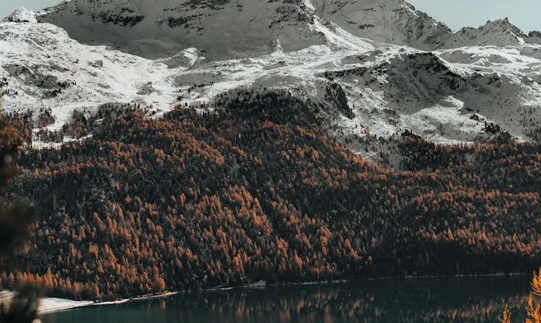 Między winą a tęsknotą: Moje życie w cieniu rodziny. Czy można wyzwolić się z oczekiwań najbliższych?