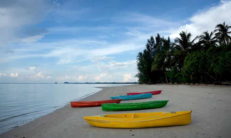 Miłość w cieniu rodzinnych sekretów: Historia Zofii i jej walki o siebie