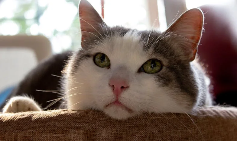 Mój mąż nie chce pracować z moim ojcem, a nie może znaleźć dobrej pracy – nasza rodzina się rozpada