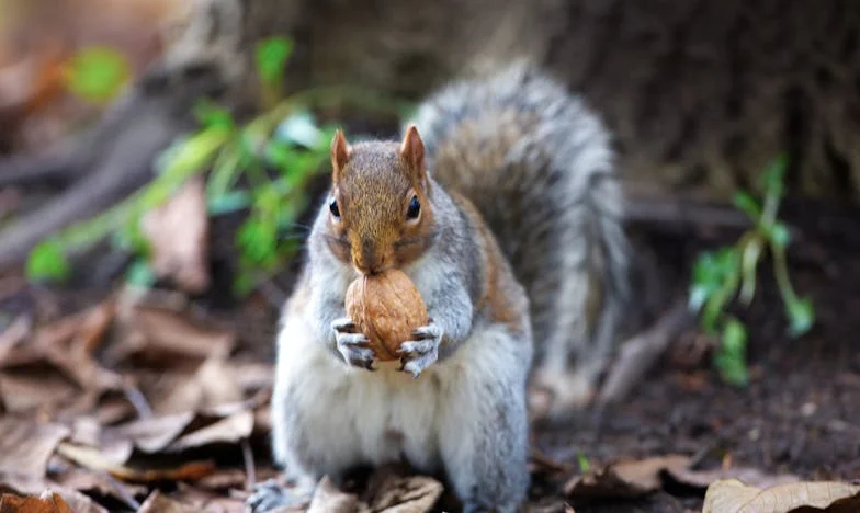 Moja córka wybrała pieniądze zamiast mnie: historia matki z Ursynowa
