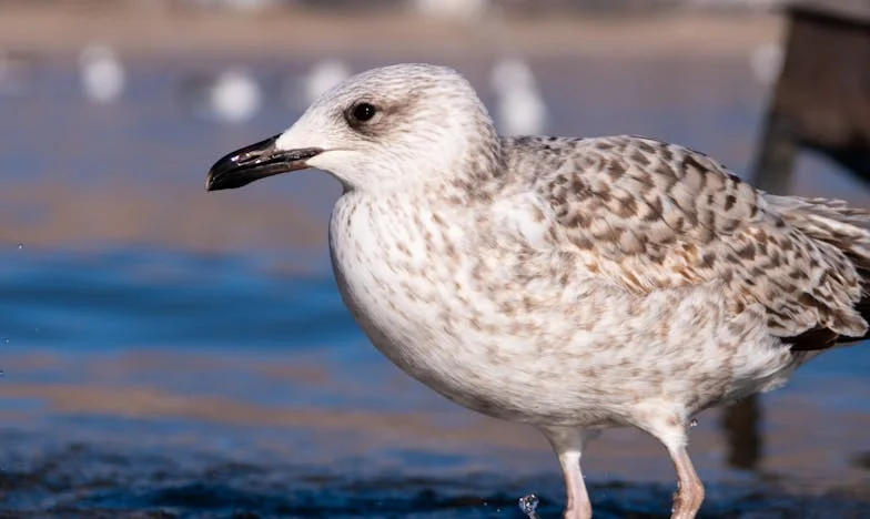 „Nie jesteśmy twoim bankomatem” – historia o rodzinie, której zabrakło serca
