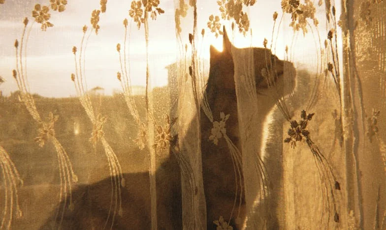 Nie Kolejny Pokój dla Teściowej: Dom, Który Podzielił Naszą Rodzinę