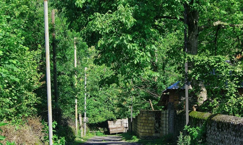 „Nie, twoja mama nie zamieszka z nami!” — Moja walka o dom i godność w cieniu teściowej