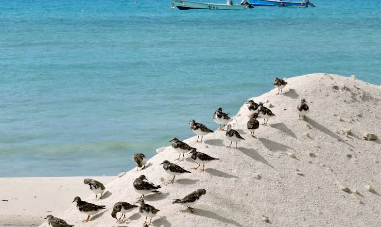 Obiecywałeś mi cuda, ale on zaprosił mnie na kolację: Jak straciłam wszystko i zaczęłam od nowa