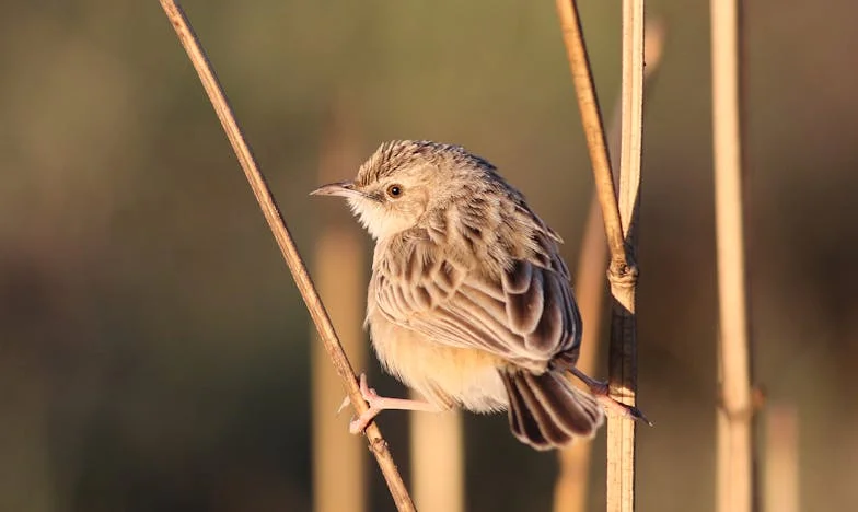 Prezent od córki: grzmiąca cisza starości