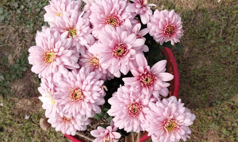 Słowo, które uratowało moją córkę – historia o zaufaniu i rodzinnych sekretach