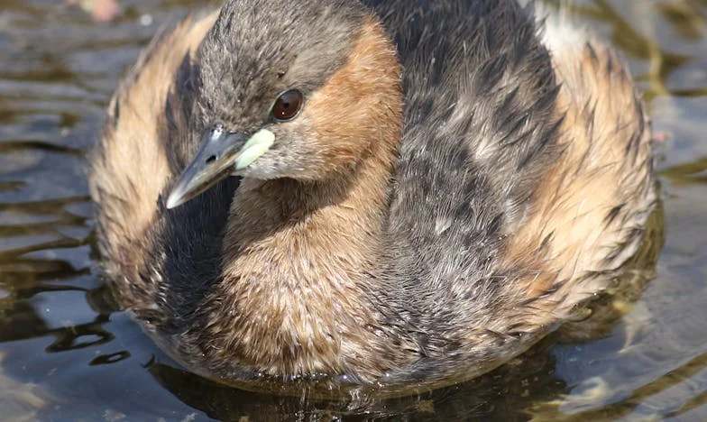 Tajna, która rozdarła moją rodzinę: Czy można wybaczyć kłamstwo matki?