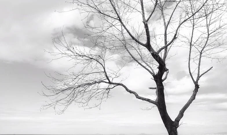 Teściowa pod moimi drzwiami: Czy mam prawo do własnej przestrzeni?