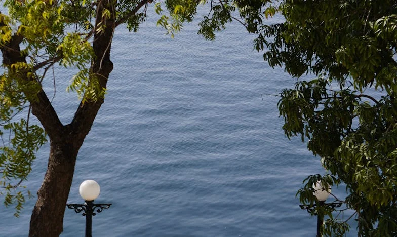 Teściowa zabrała wszystko – nawet czajnik! Rodzinna burza za zamkniętymi drzwiami