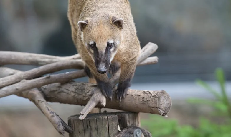 Trzecia ciąża, jedna decyzja i rodzina na krawędzi: Moja walka o granice i szacunek