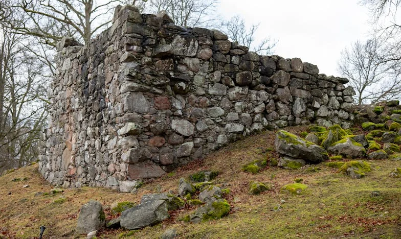 Urodziny, które zmieniły wszystko – W cieniu rodzinnych oczekiwań