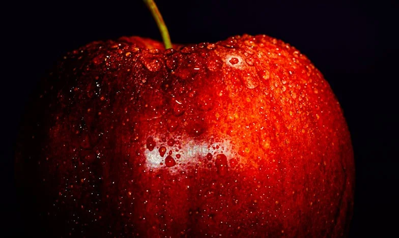 Zatrute dziedzictwo: Opowieść o rodzinnych sekretach i cenie prawdy