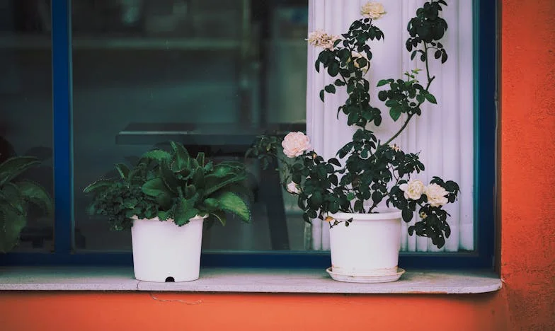 Zdradzona przez własną matkę: Moja walka o prawdę i dziedzictwo po ojcu