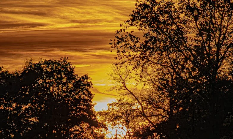 Zimny poranek, gorące łzy: Historia Marty i Pawła