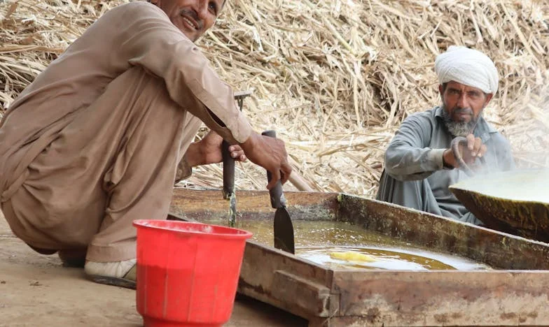 Kiedy filiżanki są czystsze niż relacje – opowieść o mojej walce ze swoją teściową