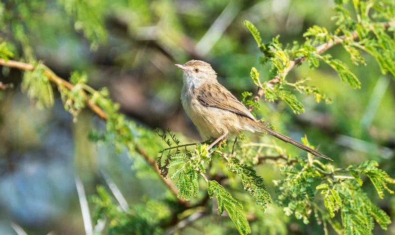 Kiedy Mama Zamieszkała z Nami: Życie, Którego Nie Przewidziałam