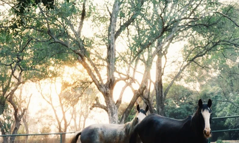 Kiedy prawda nie jest po twojej stronie: Historia o spadku, rodzinie i niesprawiedliwości