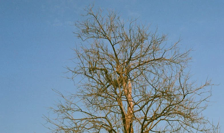 Lekarstwo na wszystkie problemy: Historia Magdy z Nowej Huty