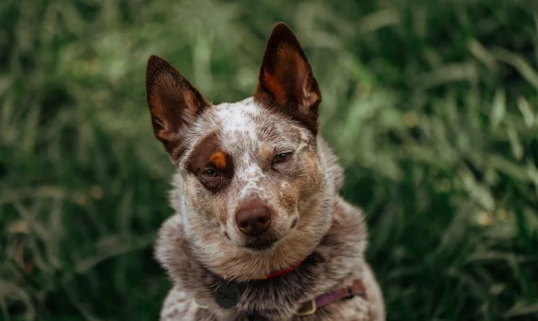 Marzenie o Własnym Mieszkaniu: Kredyt, Który Nas Rozdzielił – Moja Historia
