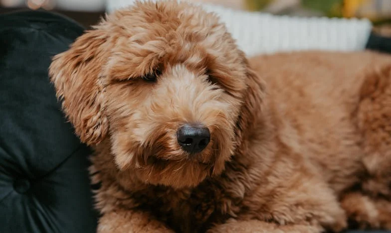 Mój syn mnie zdradził: Nie sądziłam, że to możliwe. Przestałam z nim rozmawiać, a on próbuje wszystko naprawić...