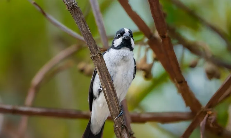 Moje pieniądze czy moja wolność? Historia Jany, która bała się odejść